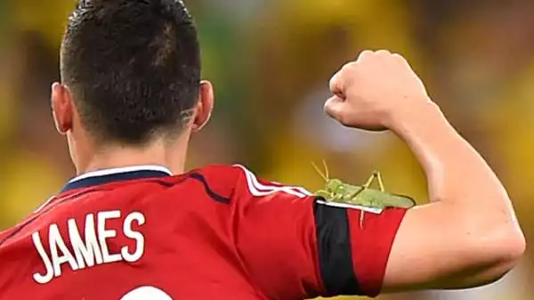 Dopo il rigore segnato contro il Brasile, è spuntata una cavalletta gigante sul braccio del colombiano James Rodriguez.
