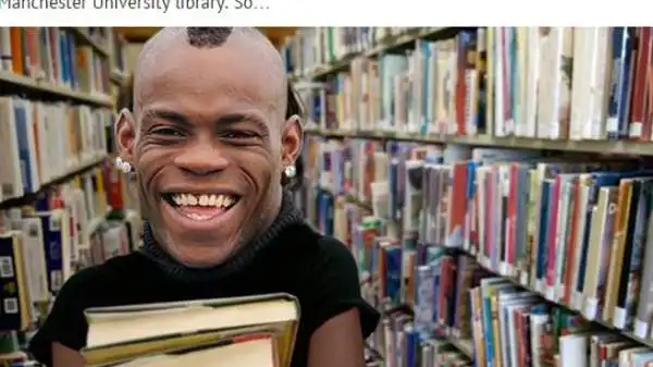 Il bibliotecario