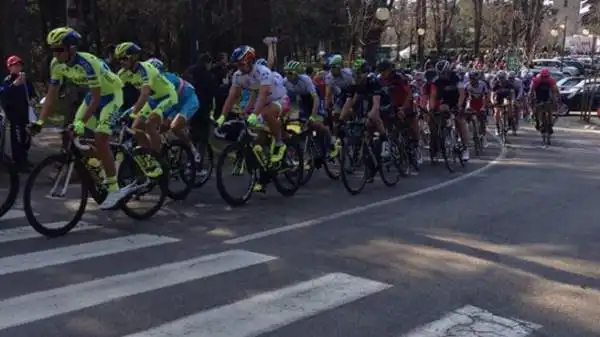 La cinquantesima edizione della corsa, valida come terza prova dell'UCI World Tour 2015, si corre da Lido di Camaiore a San Benedetto del Tronto.
