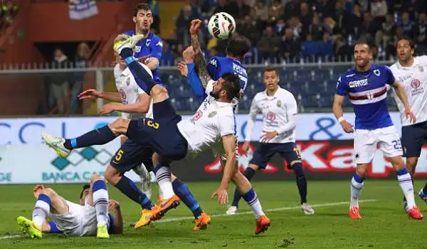 Sampdoria-Verona 1-1
