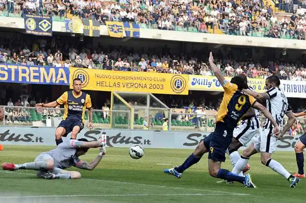 I bianconeri pareggiano al Bentegodi. Tevez sbaglia un rigore, Toni ancora a segno e a un passo dal titolo di capocannoniere. Di Llorente, Pereyra e Junaito Gomez gli altri gol del match.