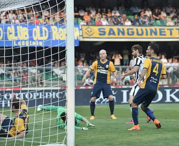 I bianconeri pareggiano al Bentegodi. Tevez sbaglia un rigore, Toni ancora a segno e a un passo dal titolo di capocannoniere. Di Llorente, Pereyra e Junaito Gomez gli altri gol del match.