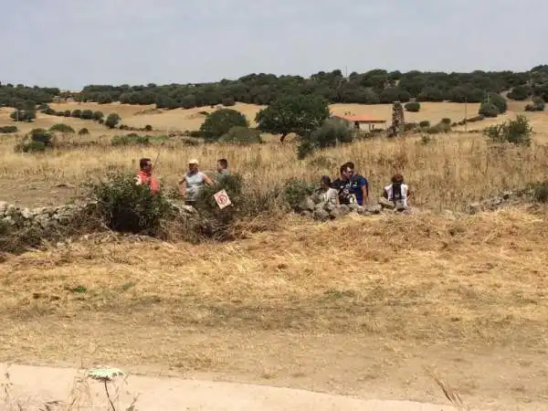 La tappa italiana del Mondiale Rally richiama ad Alghero e dintorni un grande numero di appassionati, che possono ammirare bolidi che sfrecciano a pochi passi.