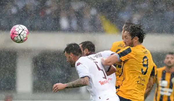 Verona-Torino 2-2