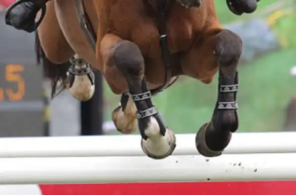 Ai Giochi 2008 una medaglia di bronzo venne revocata dal CIO alla squadra d'equitazione norvegese nella specialità di Salto ostacoli a squadre: la causa la positività del cavallo di Tony André Hansen.