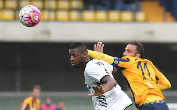 Verona-Udinese 1-1