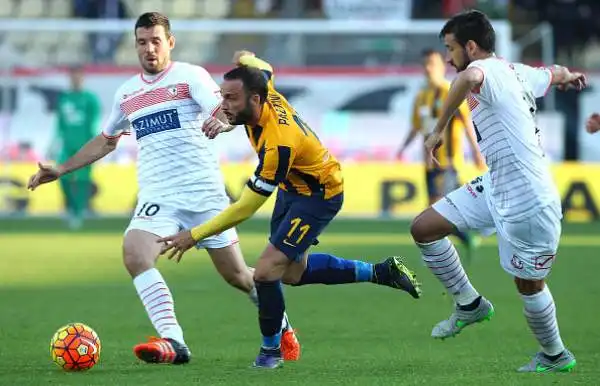 Carpi-Verona 0-0