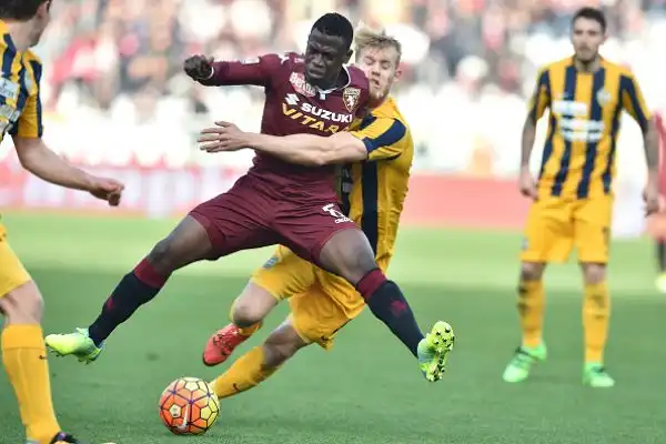 Torino-Verona 0-0