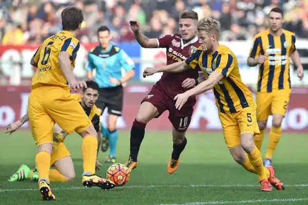 Torino-Verona 0-0