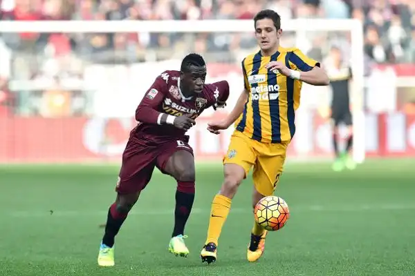 Torino-Verona 0-0