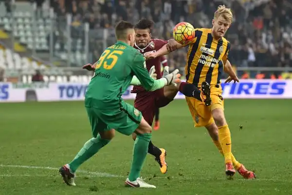 Torino-Verona 0-0