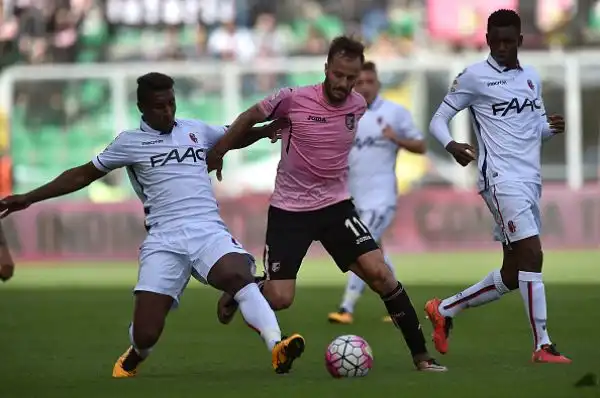 Palermo-Bologna 0-0