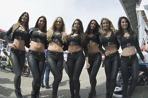 Le immagini delle bellissime grid girls che hanno colorato il puddock nel corse del week end sul tracciato francese di Le Mans.