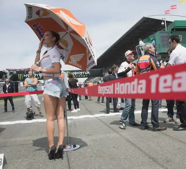 Le immagini delle bellissime grid girls che hanno colorato il puddock nel corse del week end sul tracciato francese di Le Mans.