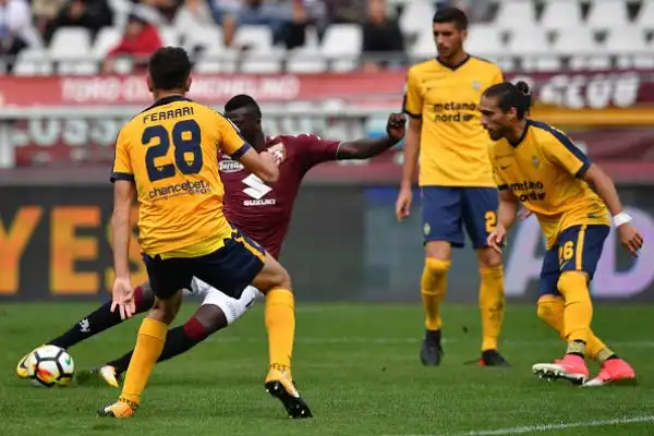 L'Hellas Verona risorge nel finale e strappa un punto doro a Torino.