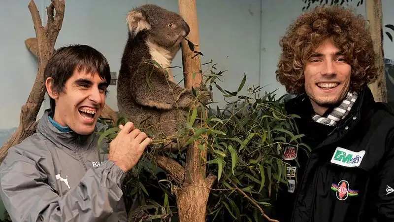 In compagnia di un koala. E di Julian Simon