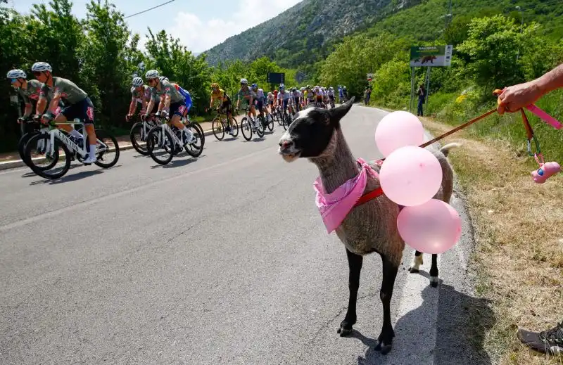 Il Giro d'Italia regala anche emozioni a livello culinario