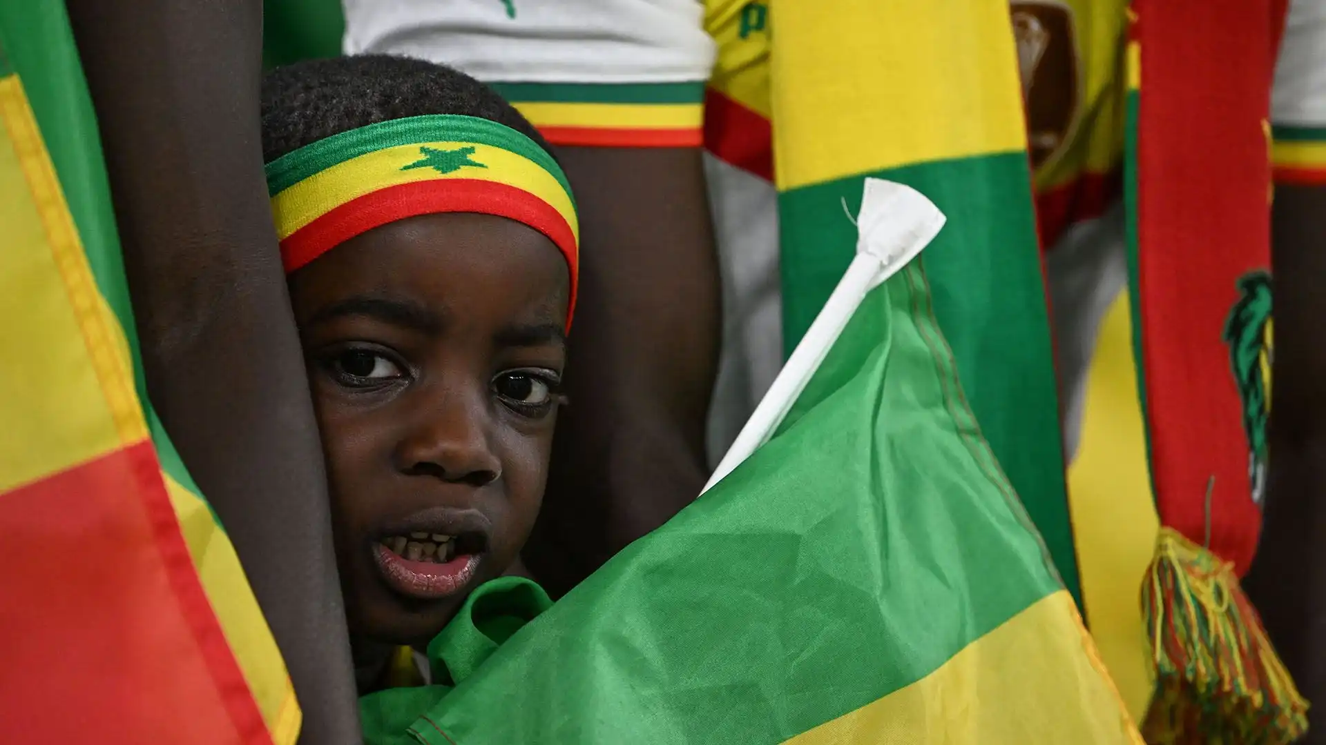 Tifosi durante il match del campionato del mondo di calcio tra Senegal e Olanda