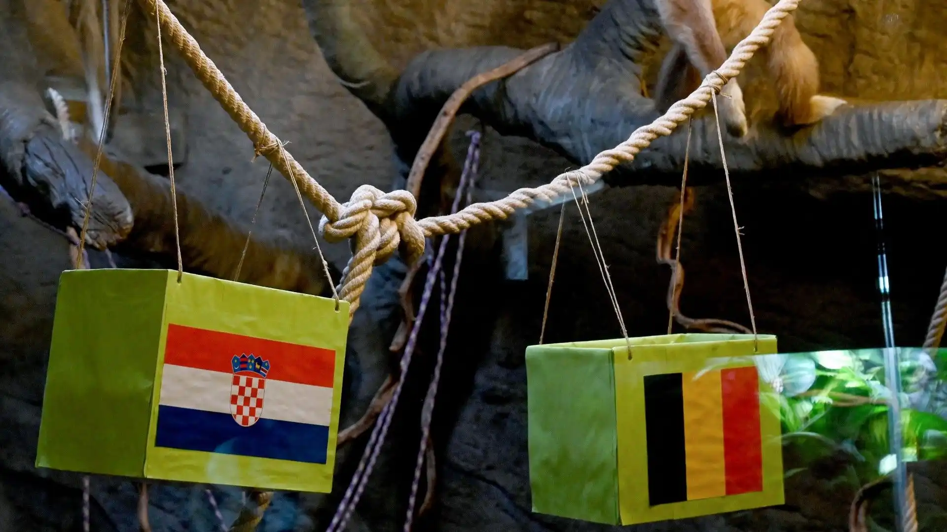 Sono state posizionate due scatole con le bandiere di Croazia e Belgio