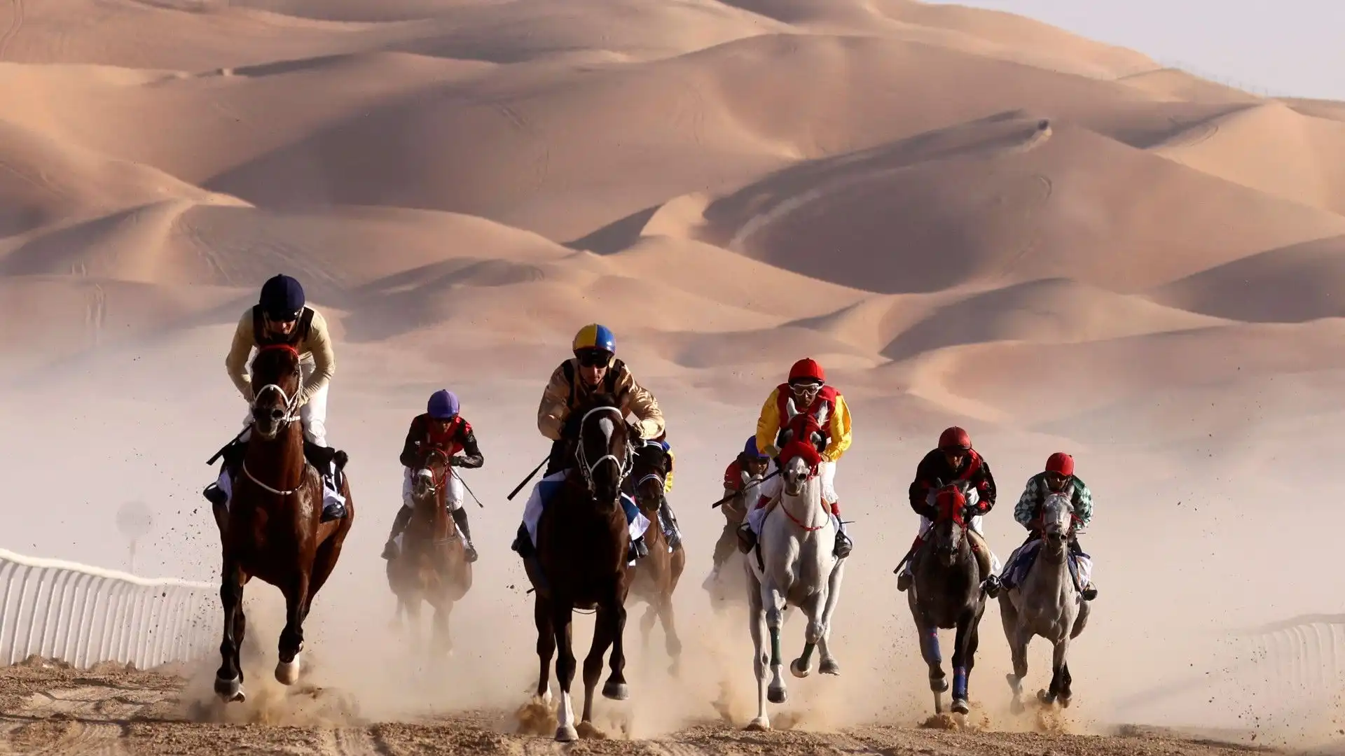 Ad Abu Dhabi si è tenuta una corsa di cavalli arabi