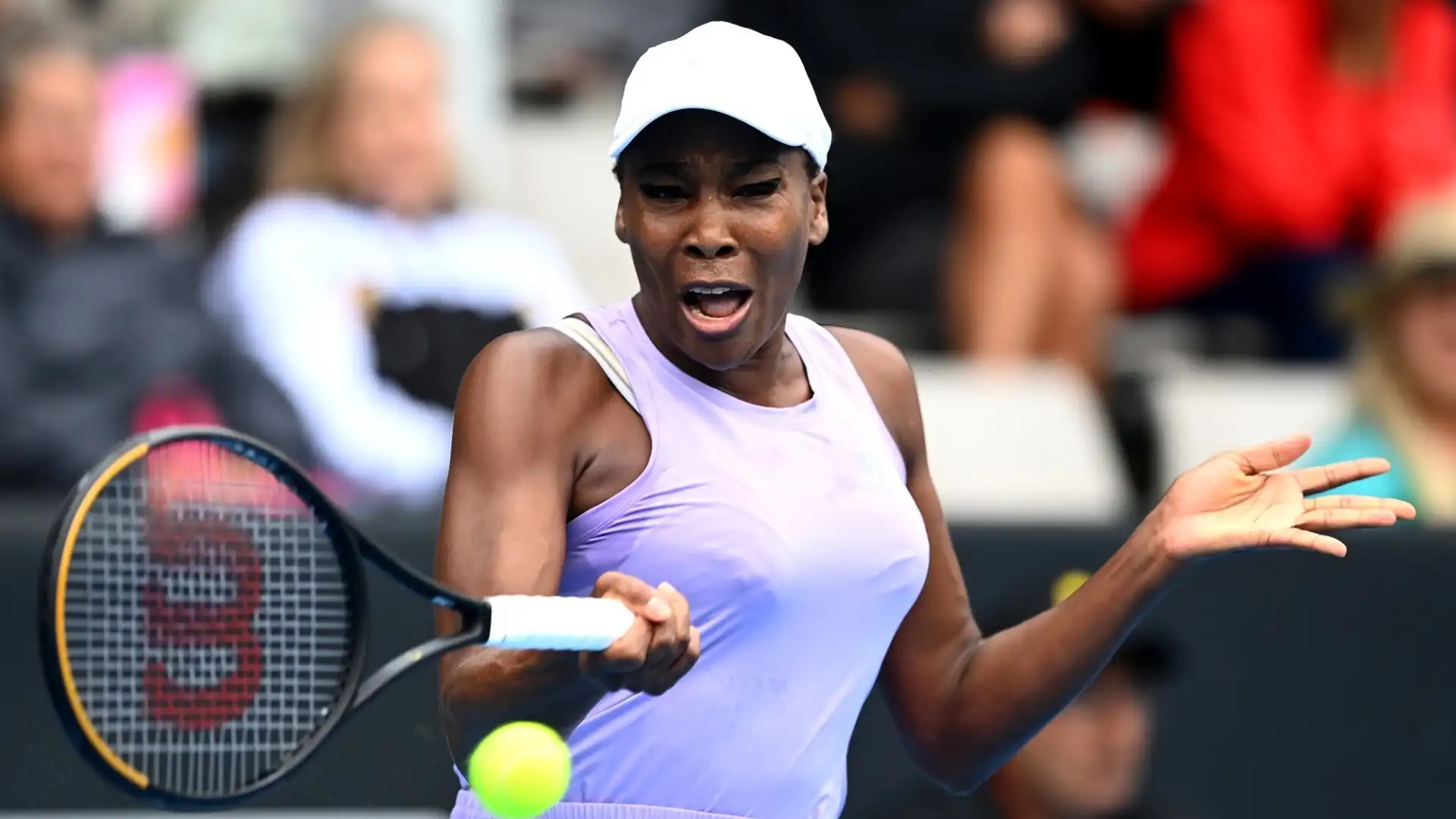 6. Venus Williams (Stati Uniti, Tennis): guadagno complessivo stimato 12 milioni di dollari