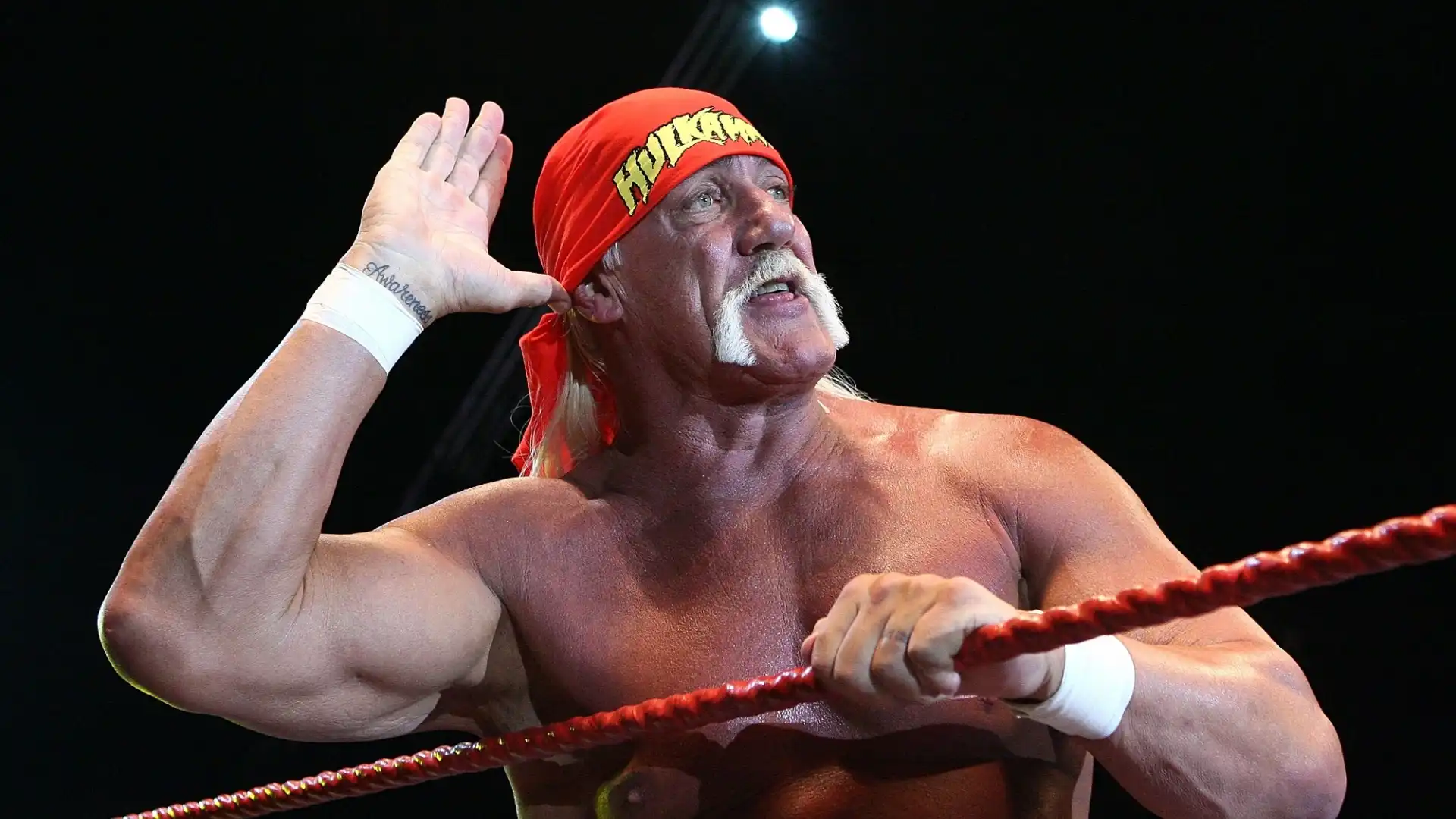 Hulk Hogan: patrimonio netto stimato 25 milioni di dollari