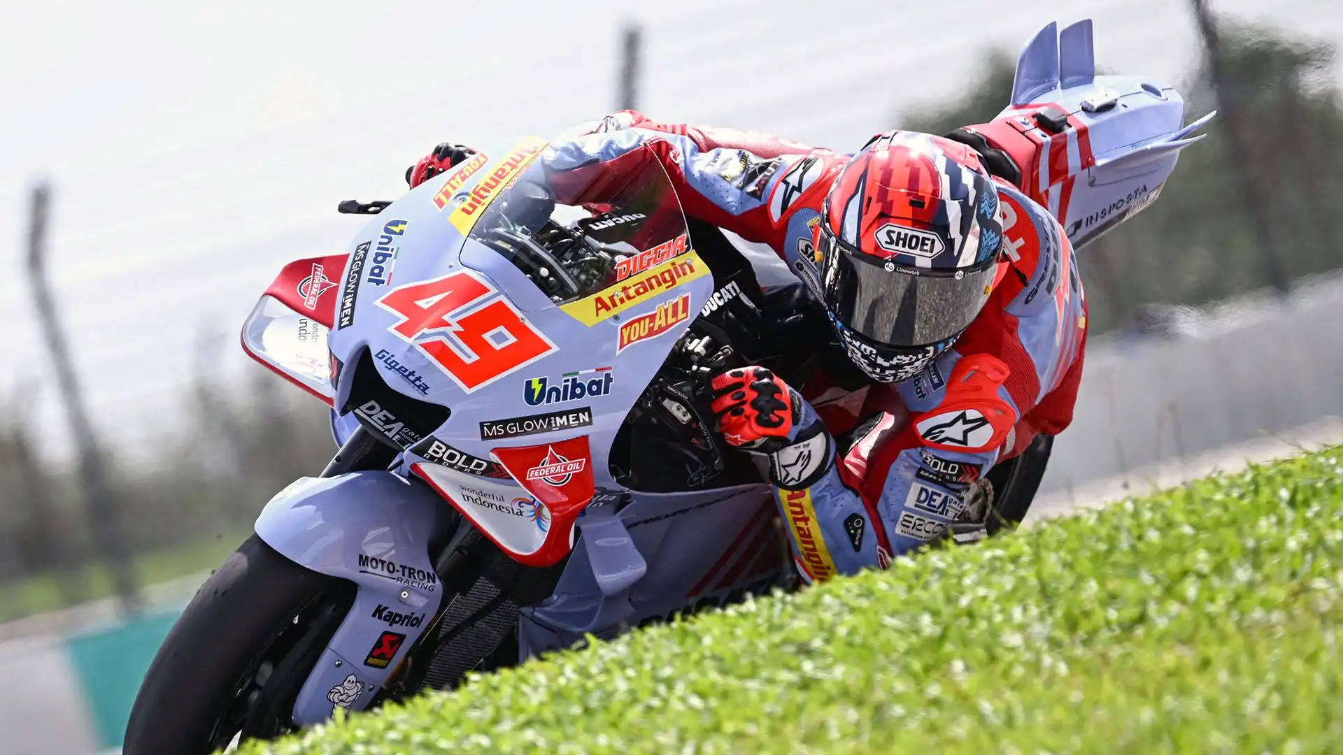49 - Fabio Di Giannantonio (Italia) - Gresini Racing MotoGP - Ducati