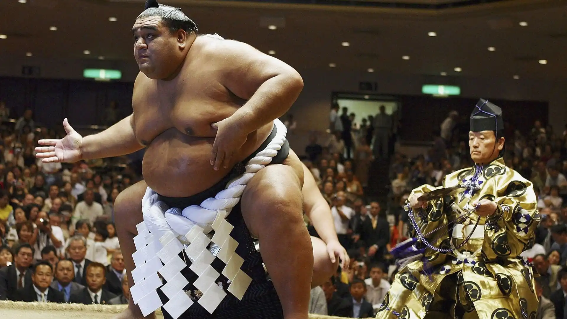 Musashimaru (Sumo, Samoa Americane): 192 cm x 235 kg