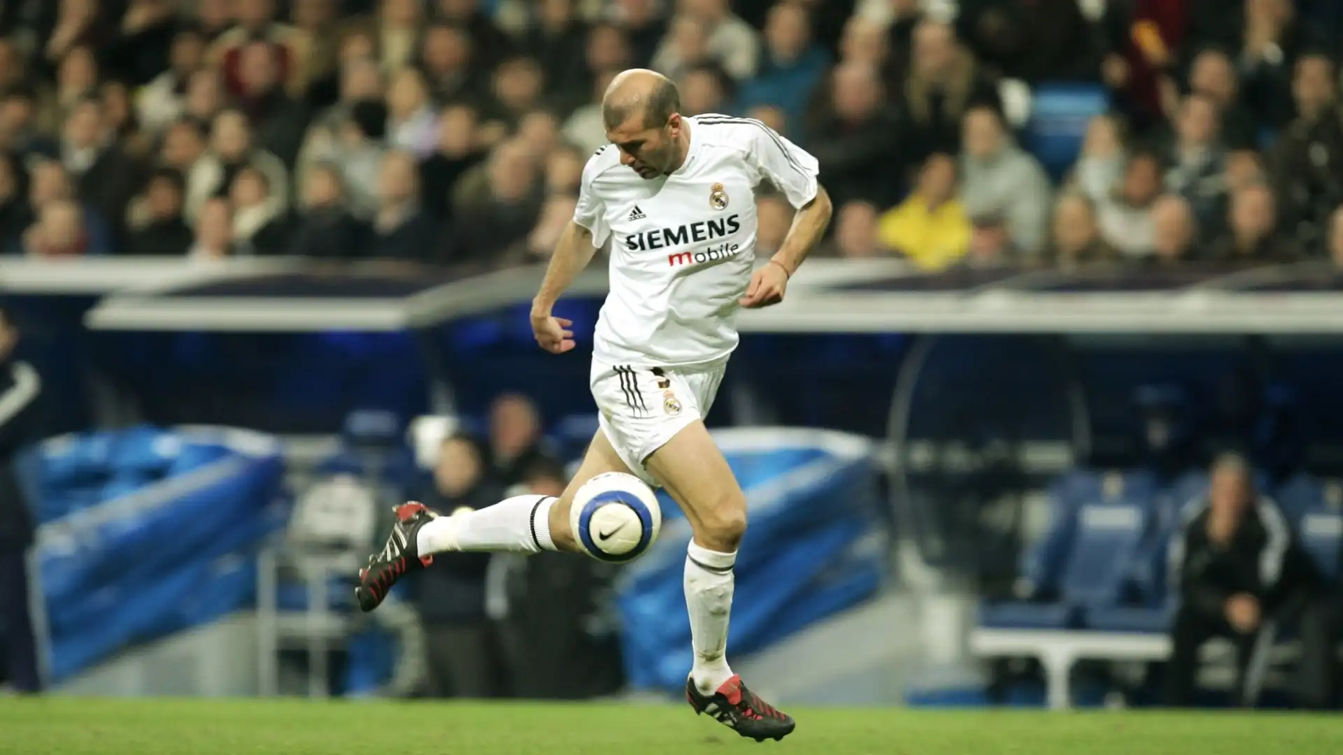 Zinedine Zidane (centrocampista, Francia)