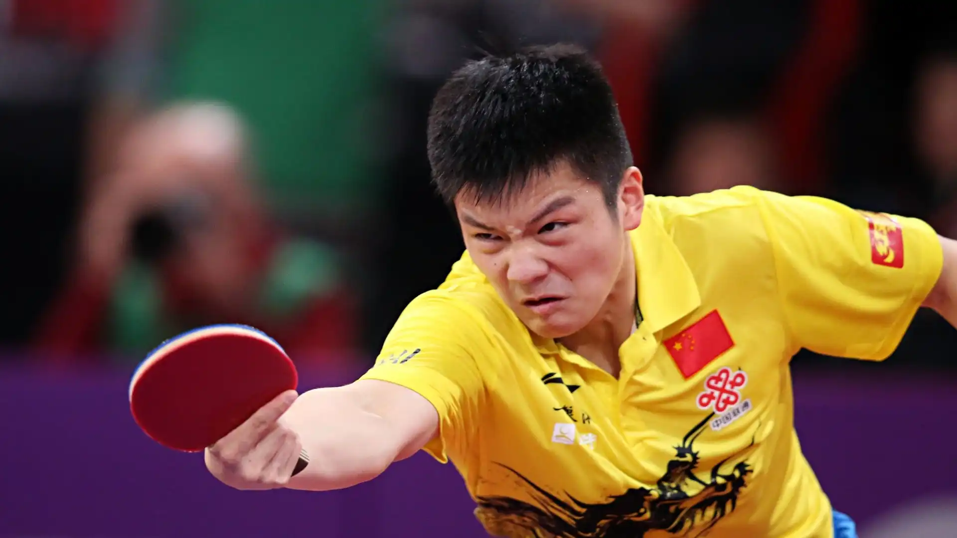 Fan Zhendong (Cina): patrimonio netto stimato 5 milioni di dollari. Attuale numero uno, ha vinto quattro volte la Coppa del Mondo