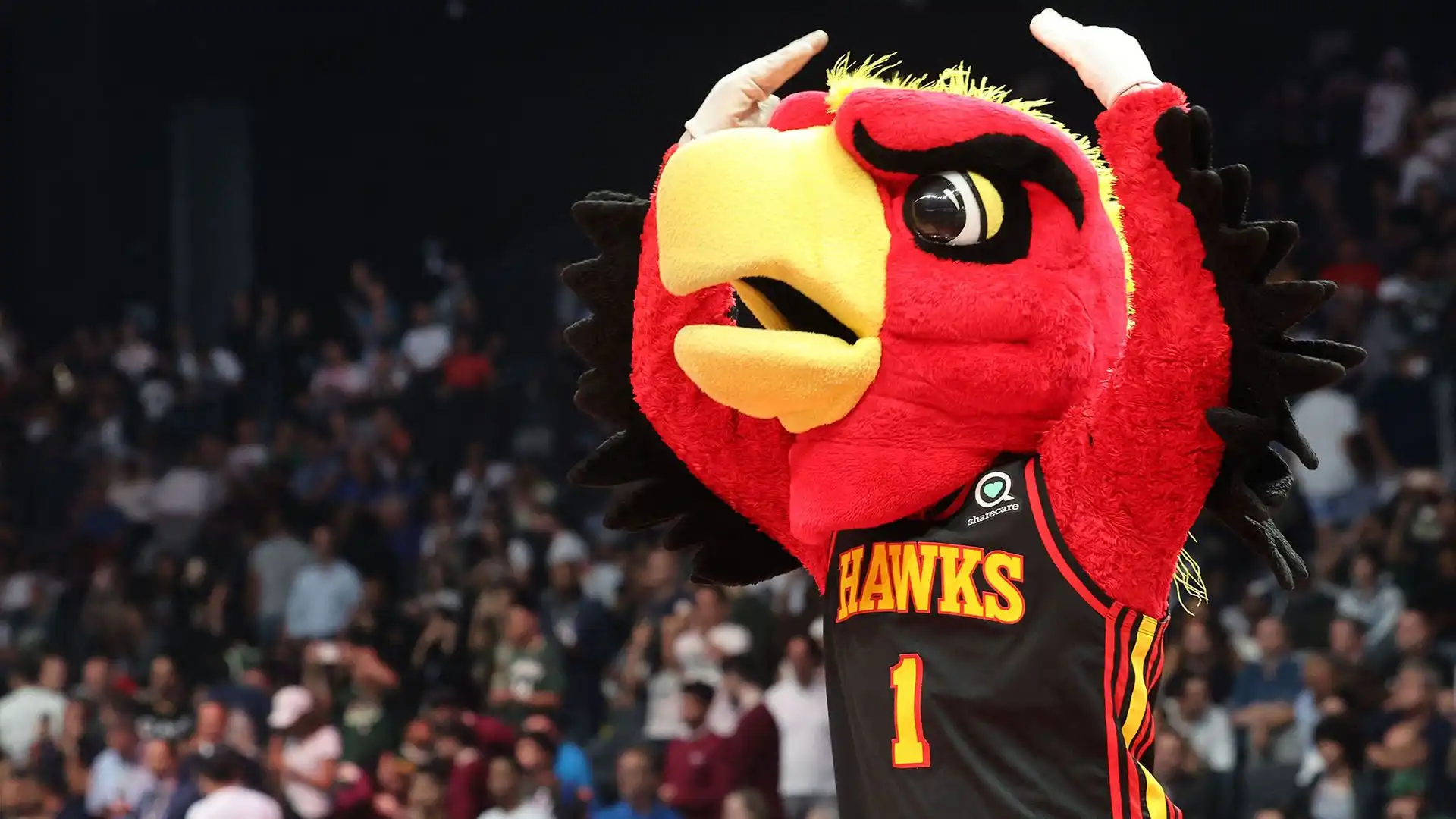 Harry the Hawk (Atlanta Hawks)
