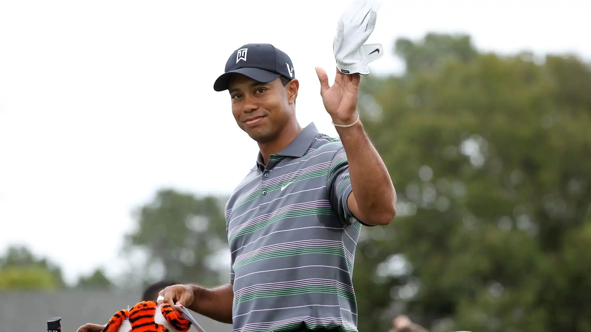 2010: Tiger Woods (Golf), guadagni totali stimati 105 milioni di dollari