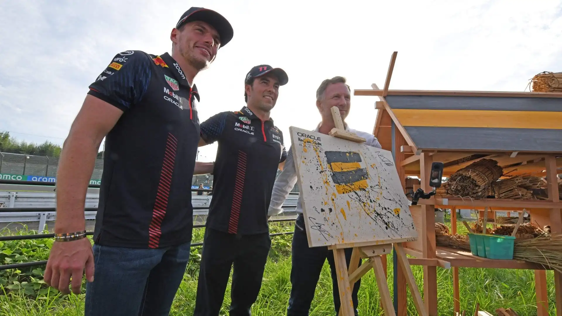Verstappen, Perez e Horner hanno dipinto un disegno per sostenere l'iniziativa