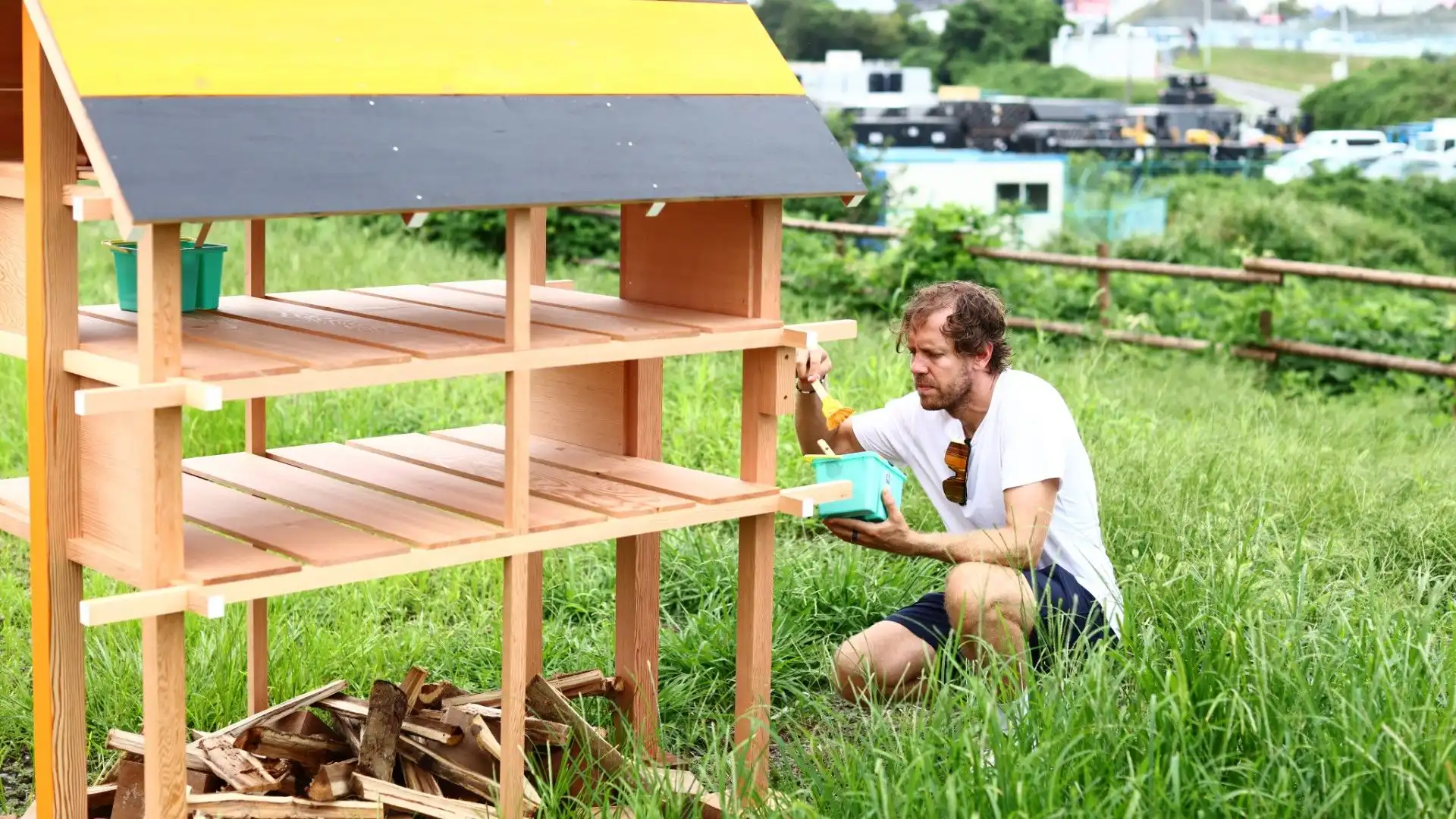 Le api sono importantissime per l'ecosistema e Vettel lo sa bene