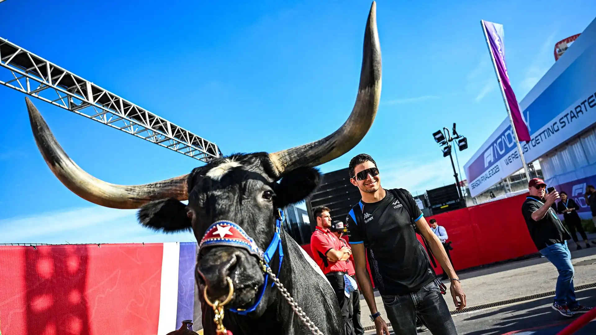Esteban Ocon con un toro, il simbolo del Texas