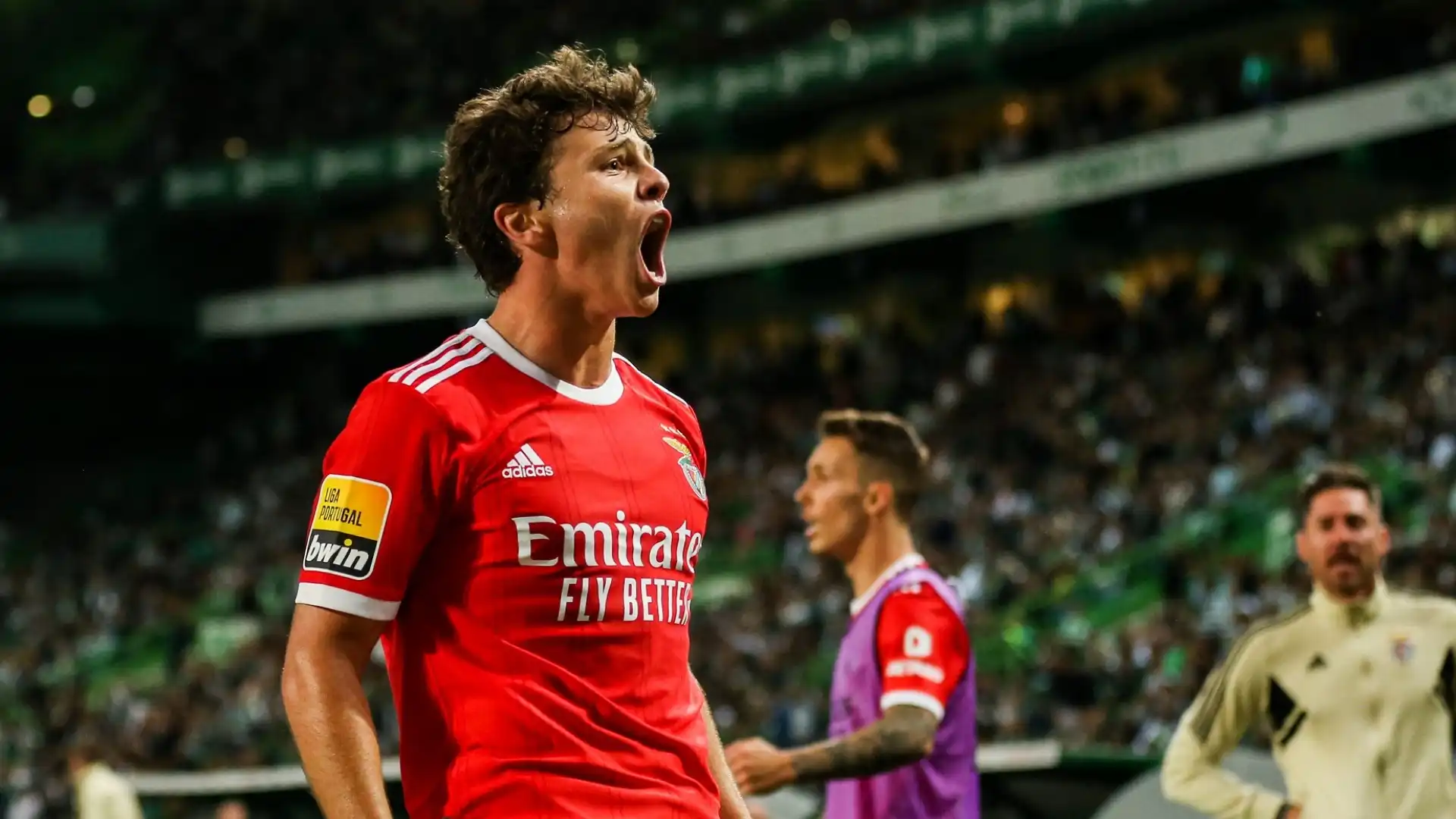 Diversi grandi club europei si sono messi sulle tracce del gioiello del Benfica