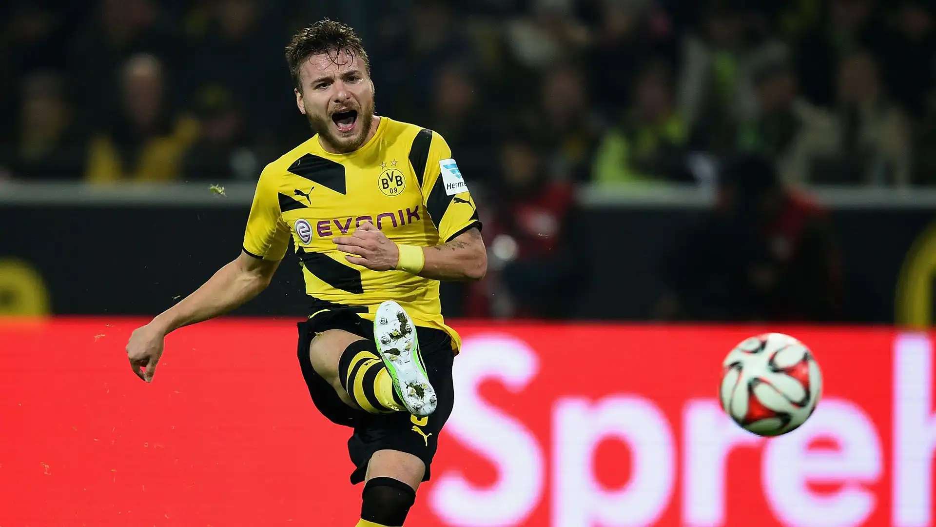 Ieri sera, per un attimo, Immobile è tornato idealmente un calciatore del Borussia Dortmund