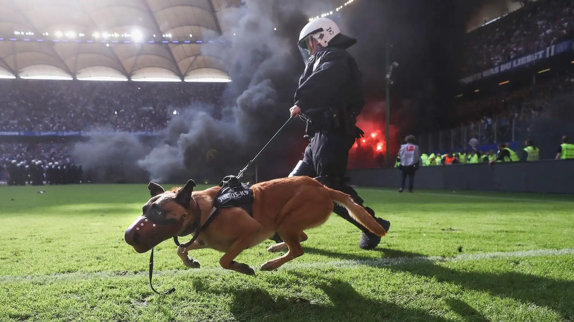 Guardiani a quattro zampe: le foto dei cani poliziotto