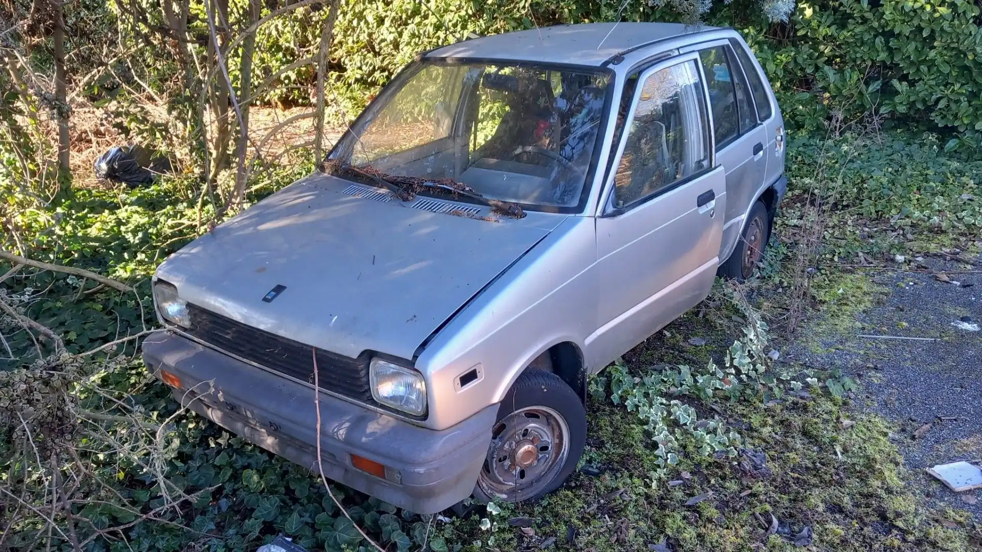 E' stata ritrovata in un bosco una Maruti Suzuki 800