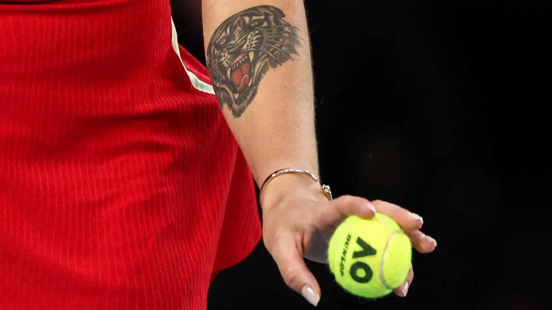 Un dettaglio della tigre tatuata sul braccio sinistro di Aryna