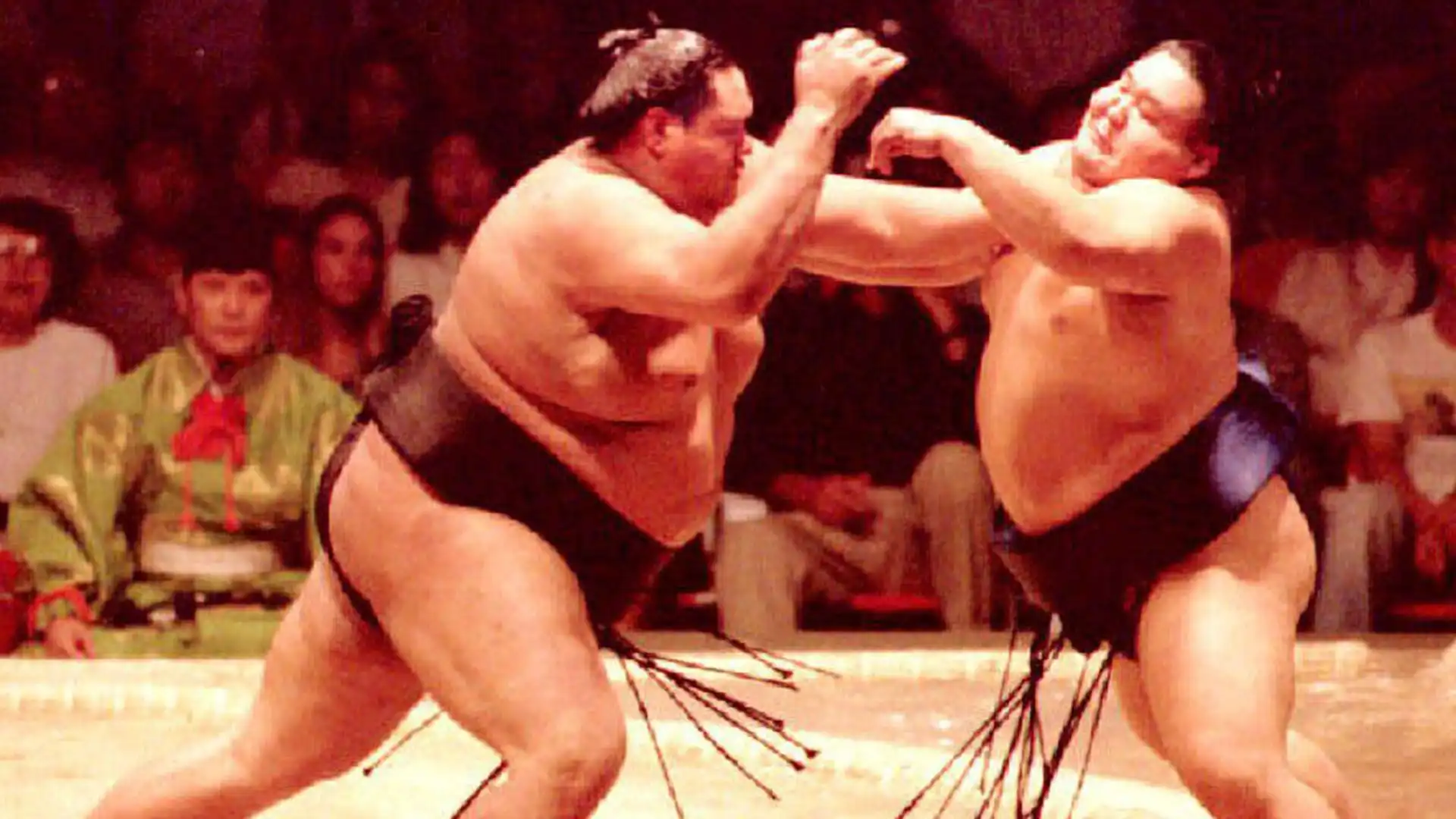 Ha vinto 11 campionati di sumo, il primo nel 1993