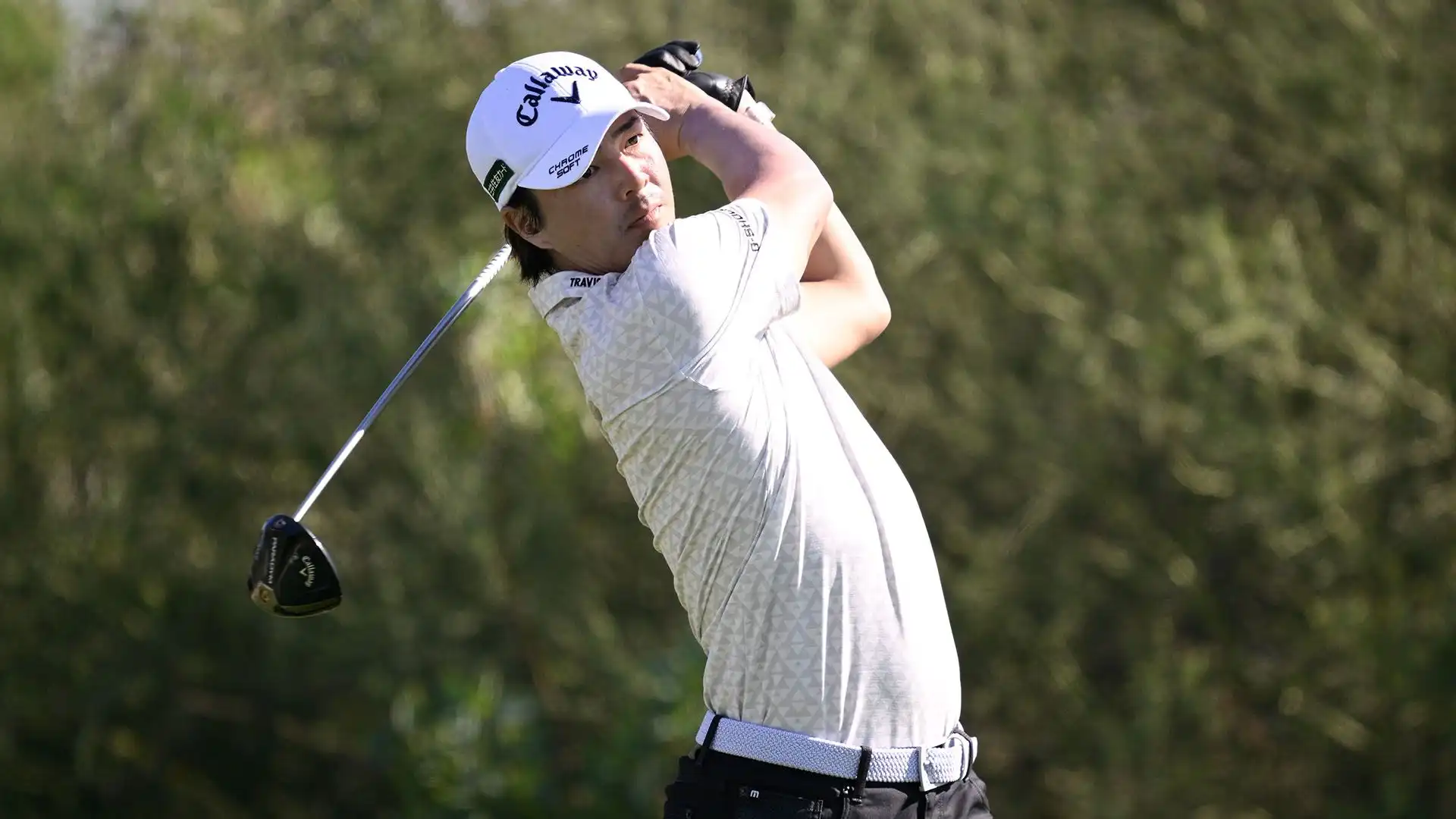 Ryo Ishikawa: premi vinti nel PGA Tour $4,564,879. Soprannominato "Hanikami Ōji" ha vinto 19 tornei in carriera