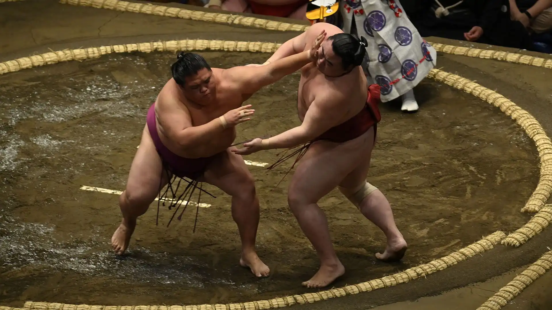 Il sumo è lo sport nazionale tradizionale del Giappone e ha una lunga storia e una grande importanza culturale. Gli incontri di sumo sono seguiti da un vasto pubblico