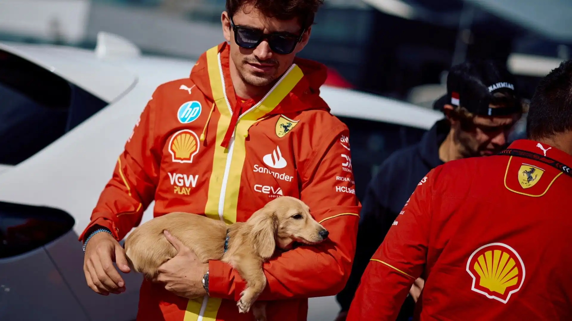 Ecco Leo, il nuovo simpaticissimo cane di Charles Leclerc!