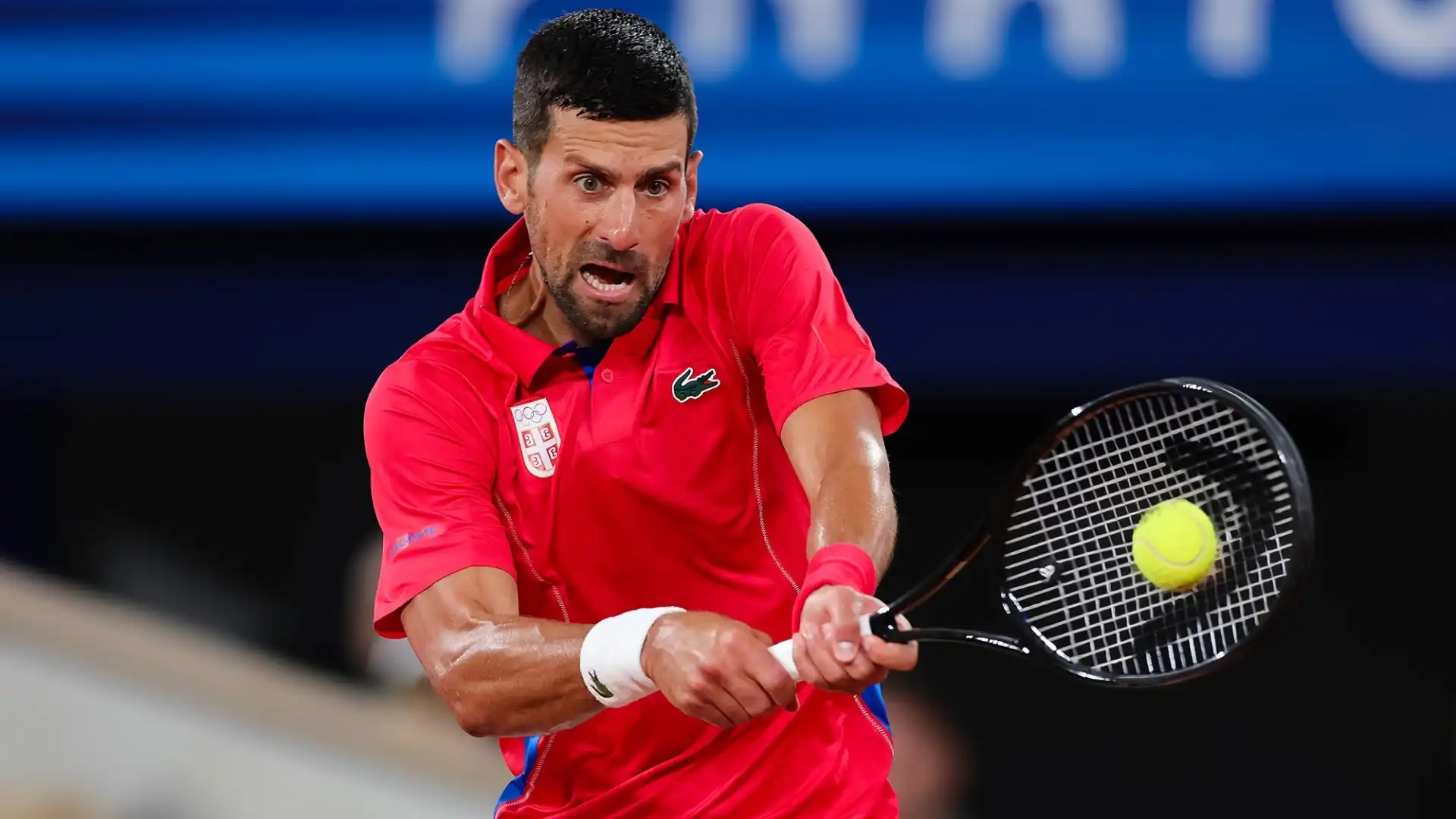 La Parisi ha chiamato in causa Novak Djokovic