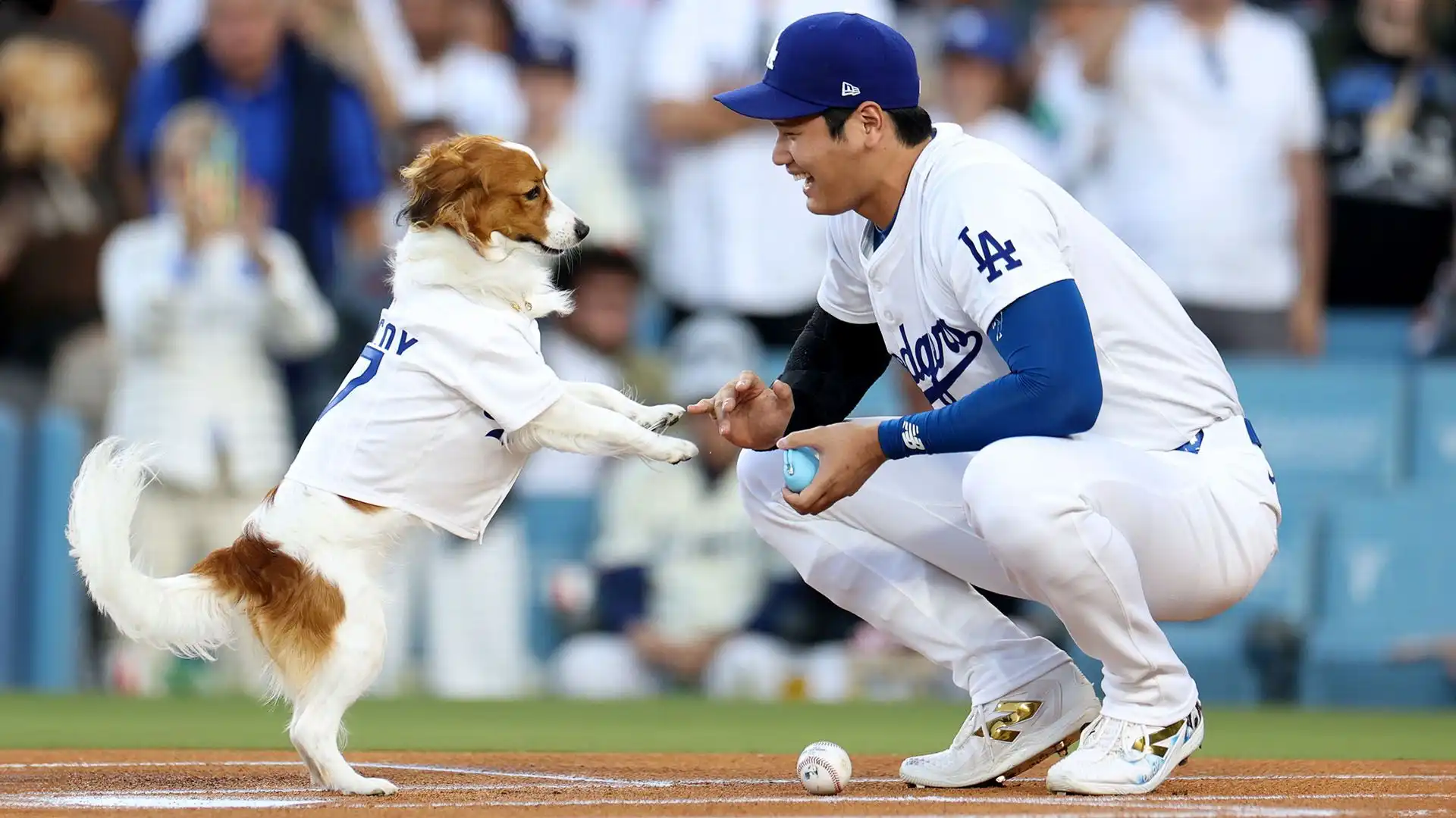 Ma in campo Ohtani è stato spietato come al suo solito