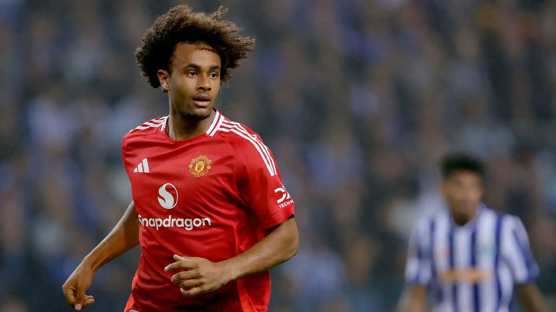 Joshua Zirkzee demolito dalla leggenda del Manchester United. Foto