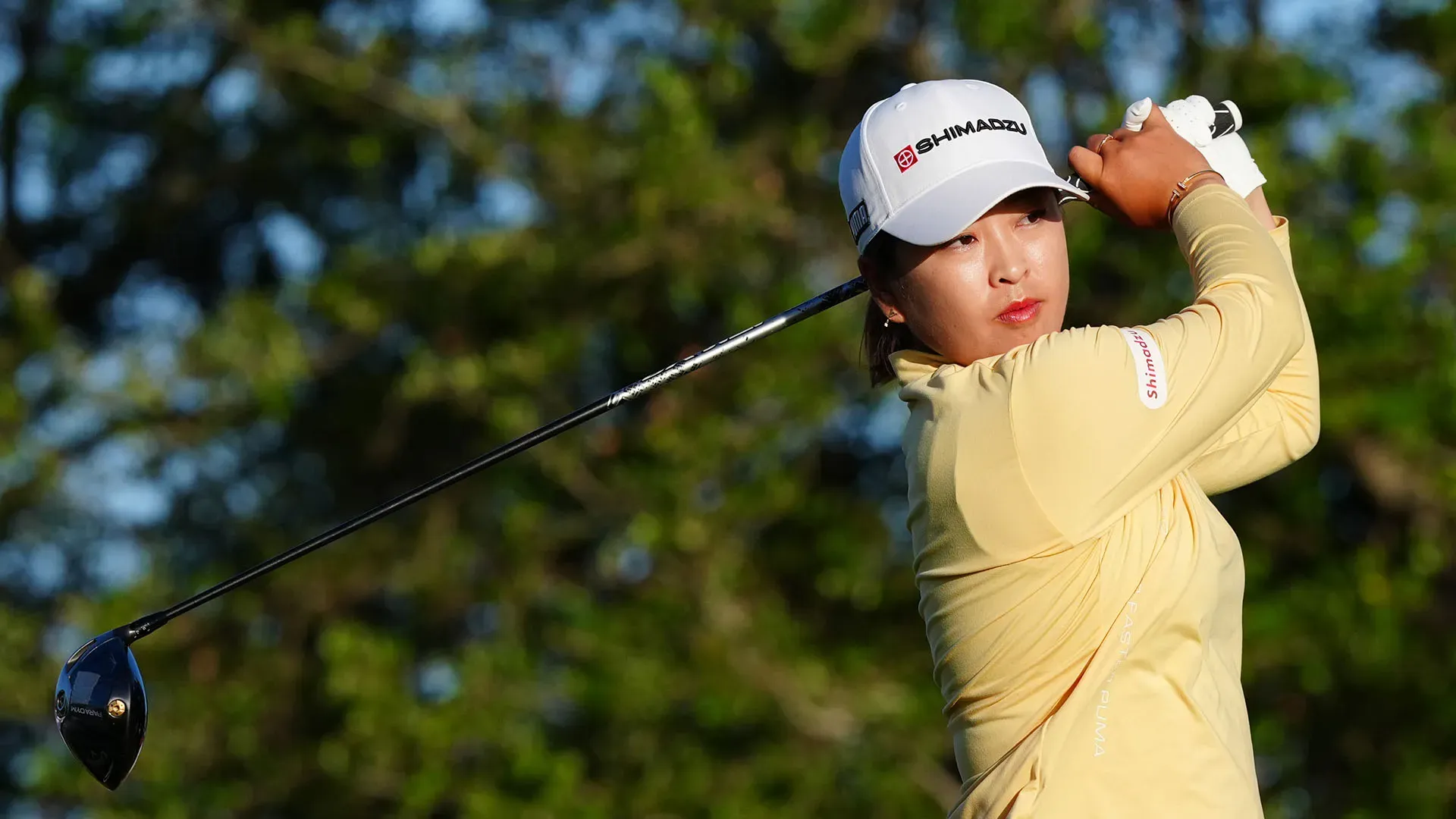 Mao Saigo nel 2024 ha partecipato a 29 tornei in LPGA, guadagnando $1,618,202 in premi partita