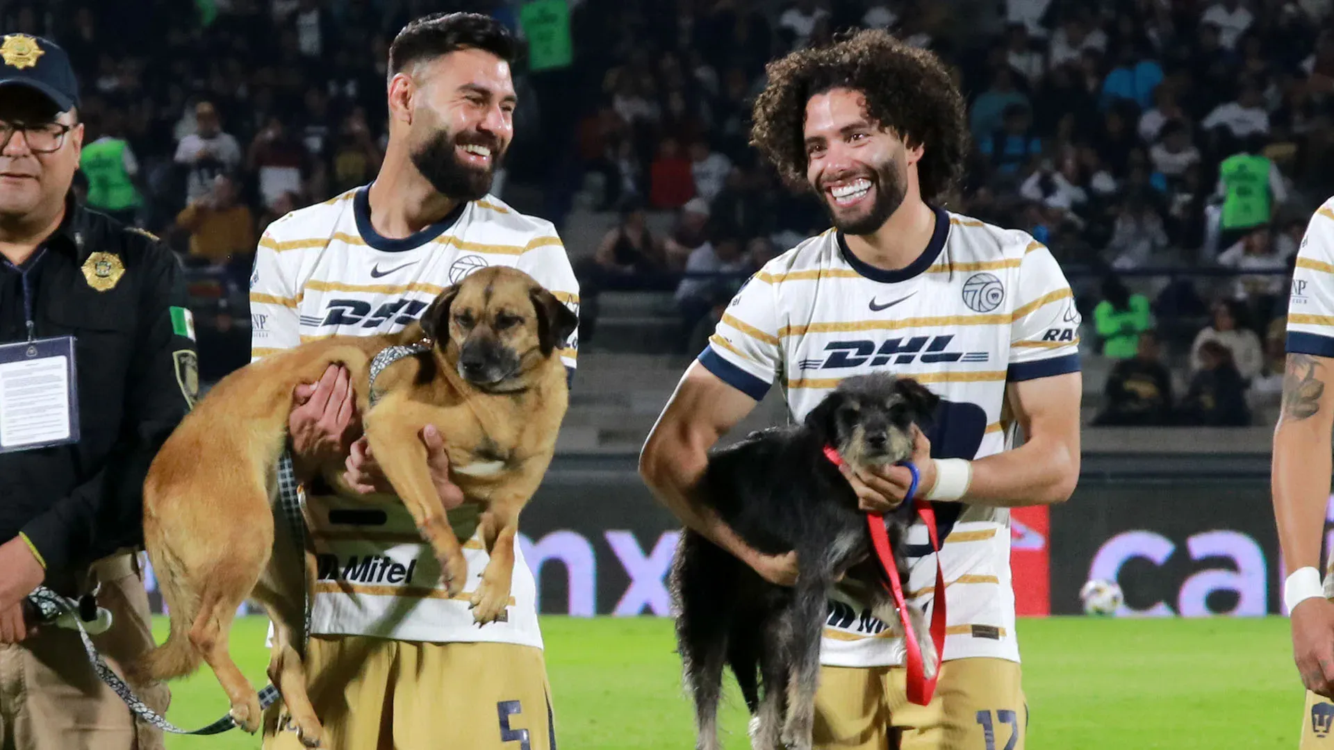 Non è la prima volta che le squadre di calcio si impegnano sul tema dell'adozione dei cani