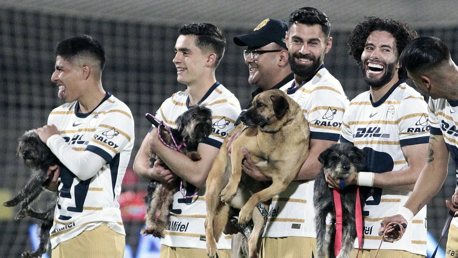 Anche sui social il Pumas ha promosso l'adozione canina